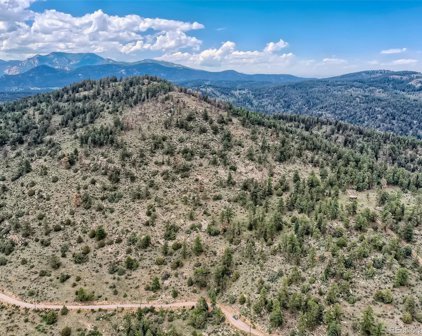 14336 Wamblee Trail, Conifer