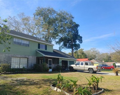 14716 Carnation Drive, Tampa