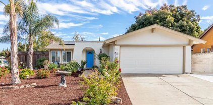 695 Buckeye Drive, Livermore