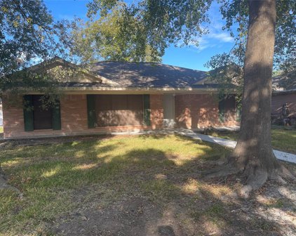 5007 Old Castle Lane, Dickinson