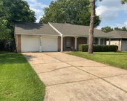 11230 Riderwood Drive, Houston image