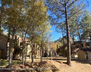 1230 Mechem Drive Unit #17, Ruidoso image