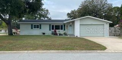 2241 Curtis Drive N, Clearwater