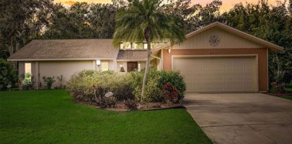 4381 Pine Meadow Lane, Central Sarasota