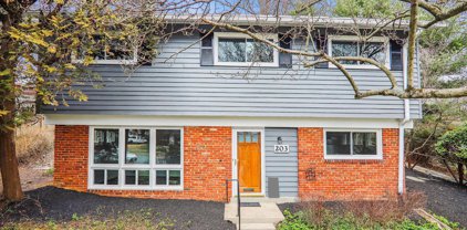 203 Thistle Dr, Silver Spring