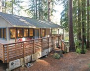 540 Brookdale ST, Boulder Creek image