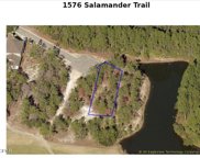 1576 Salamander Trail, Panama City Beach image