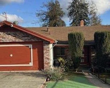 3546 Calandria AVE, Oakland