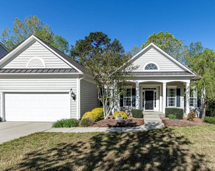 12313 Gadwell  Place, Indian Land