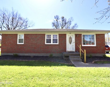 337 Carla Dr, Mt Washington