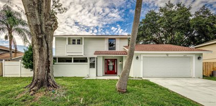 4413 Akita Drive, Tampa
