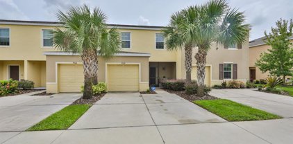 9924 Hound Chase Drive, Gibsonton