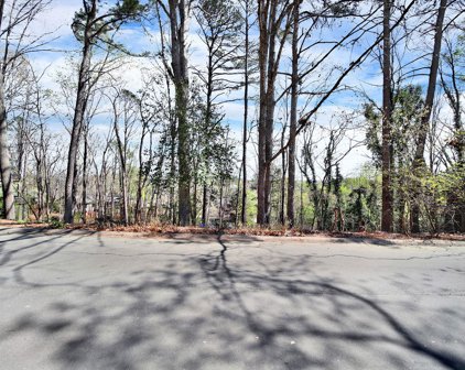 16088 Heron Run  Drive, Tega Cay
