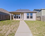 10768 S Lake Mist Lane, Willis image