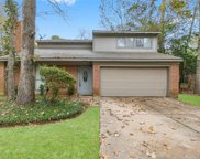 4 Basal Briar Court, The Woodlands image