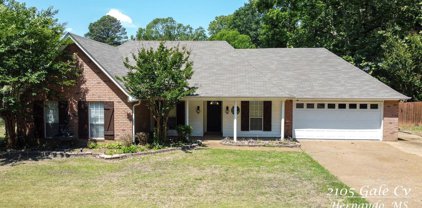 2105 Gale Cove, Hernando