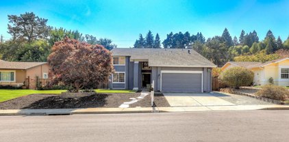520 Eagle Nest Dr, Martinez