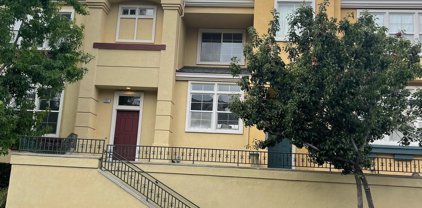 3551 Gilman Cmn, Fremont