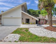 11318 Torrey Pines Drive, Riverview image