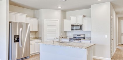 8802 W Baja Fairy, Marana