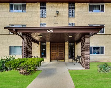 525 S Cleveland Avenue Unit #303, Arlington Heights