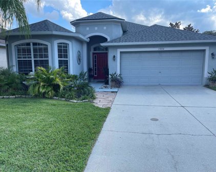 15834 Pond Rush Court, Land O' Lakes