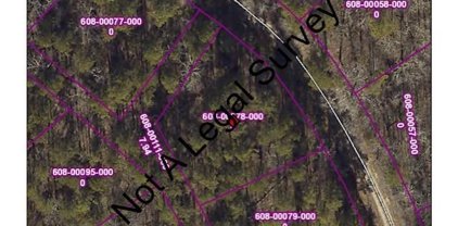 Lot 4 La Viejo, Hot Springs Village