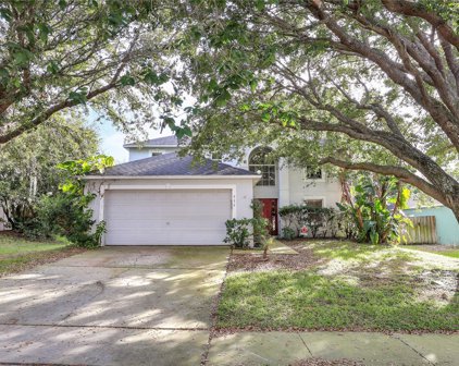 954 Welch Hill Circle, Apopka