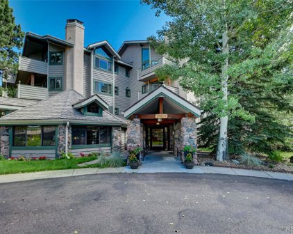 31819 Rocky Village Drive Unit 214, Evergreen