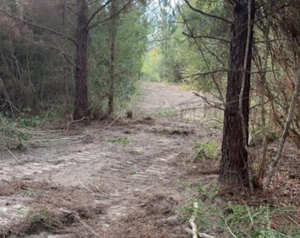 Rayford Shumock Road, Moss Point
