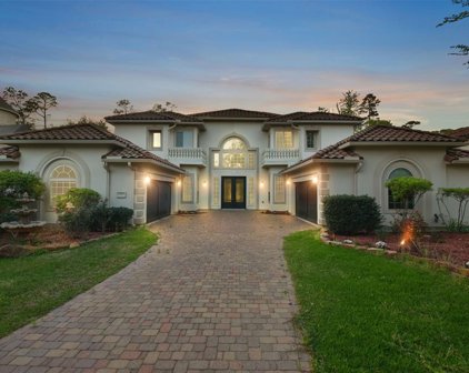 67 Player Vista Place, The Woodlands