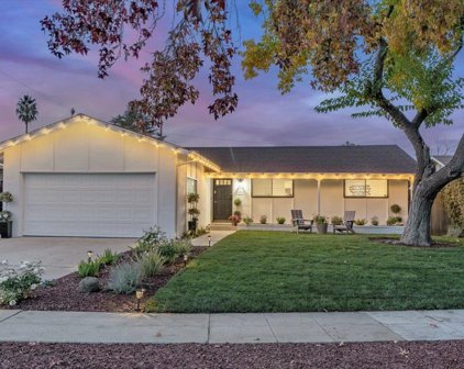 3899 Via Salice, Campbell