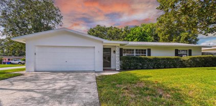 1479 Dartmouth Drive, Clearwater