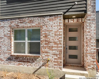 210 W Poplar St Unit 101, San Antonio