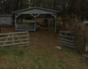 10946 Amblewood Street, Willis image