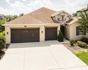 18004 Pine Hammock Boulevard, Lutz image