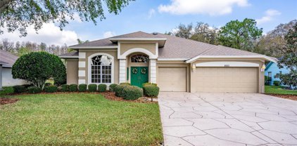 8031 Maidencane Drive, Trinity