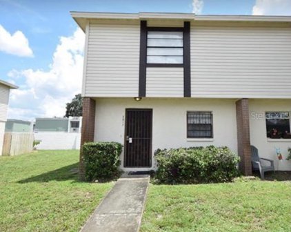 2017 Pine Chace Court, Tampa
