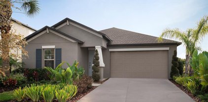 9865 Branching Ship Trace, Wesley Chapel