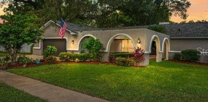 4623 Lake Valencia Boulevard W, Palm Harbor