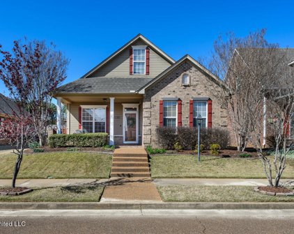 4720 N Terrace Stone Drive, Olive Branch