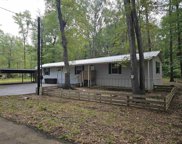 425 Albatros Drive, Winnsboro image