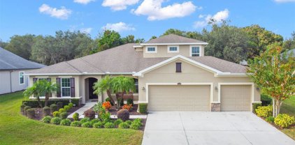 13103 Weatherstone Drive, Spring Hill
