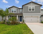 14162 Hammock Crest Way, Riverview image