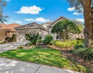 10230 Evergreen Hill Drive, Tampa image