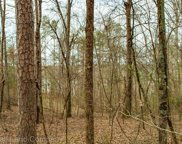 Skyline Drive, Chesnee image