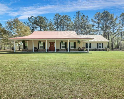 248 Tower Road, Ludowici