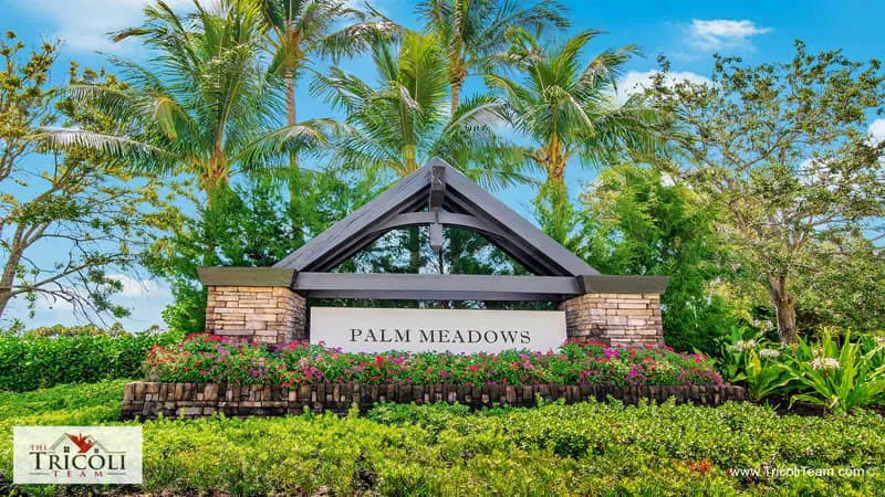 Homes in Palm Meadows Boynton Beach