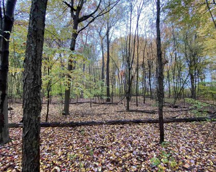 TBD Dutton Drive, Elkhart