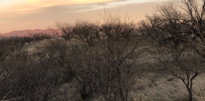 390 Paseo Ardilla Unit #10, Rio Rico